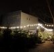 Weihnachtsbäume auf dem Spreewaldplatz