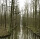Spreewald bei Lübbenau