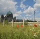Warten auf die Schlossplatz-Wiese in Berlin