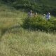 Sommer im Volkspark Prenzlauer Berg